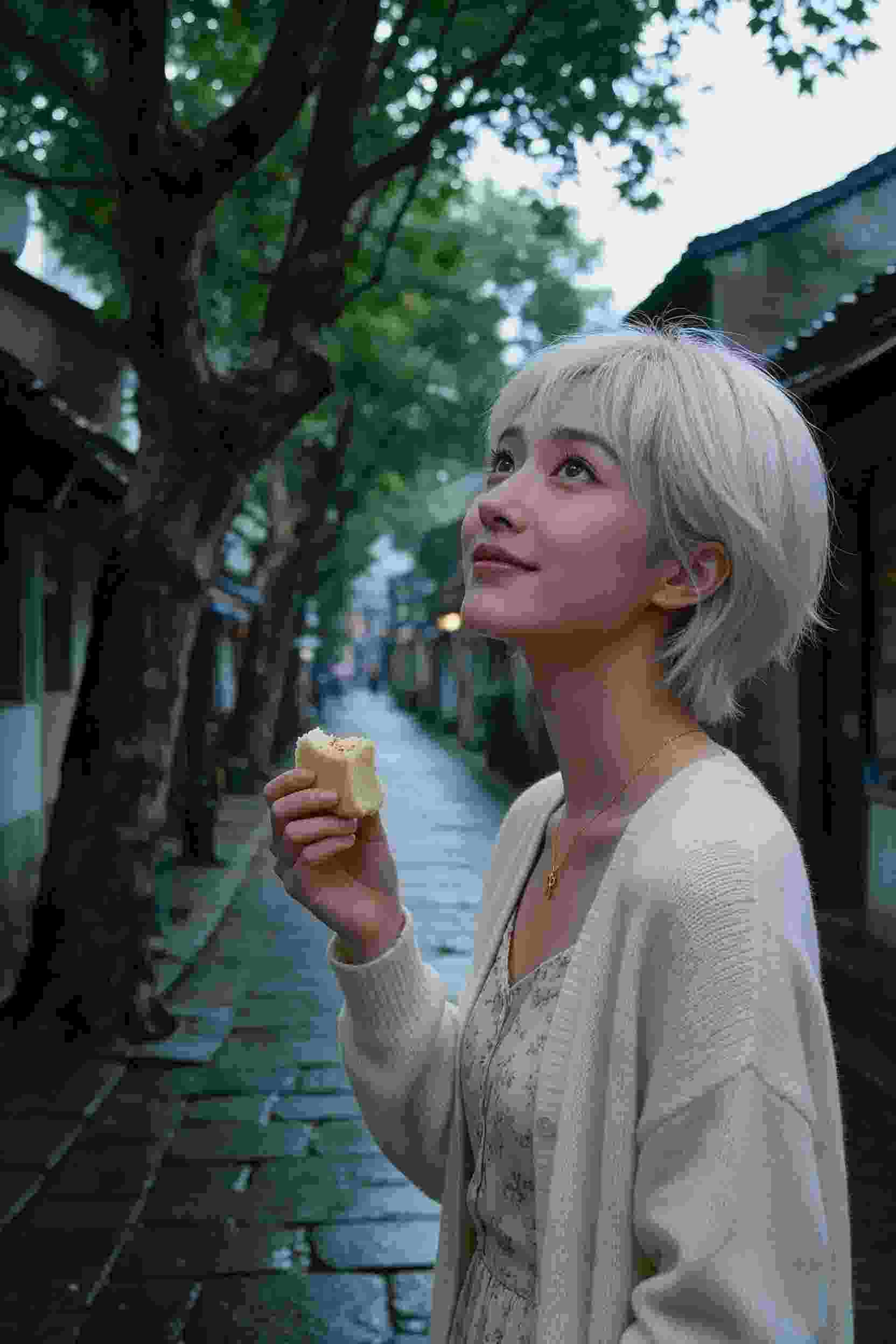 天空守卫